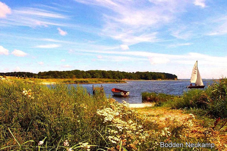 Am Bodden Neukamp