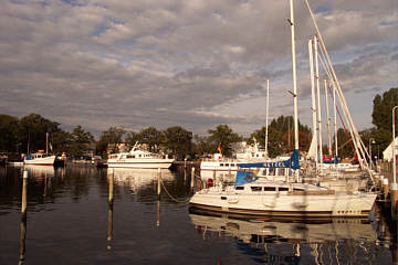Dieser Schwan hat 2 Eier im Nest